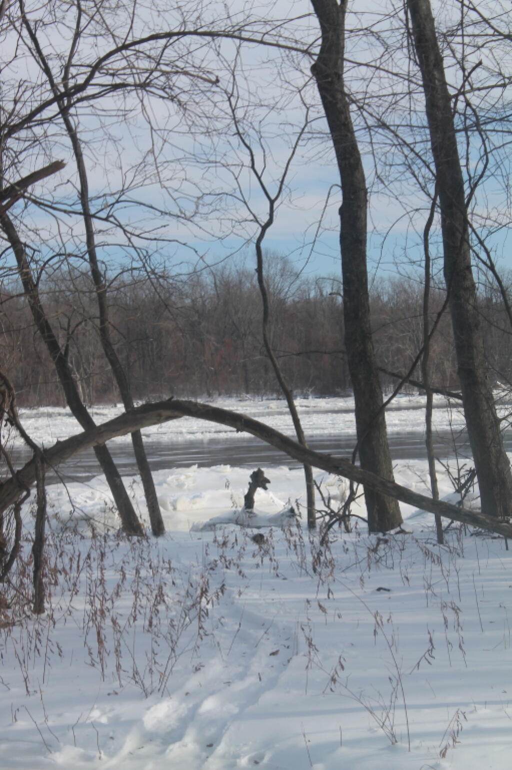 Photo: Out to the River