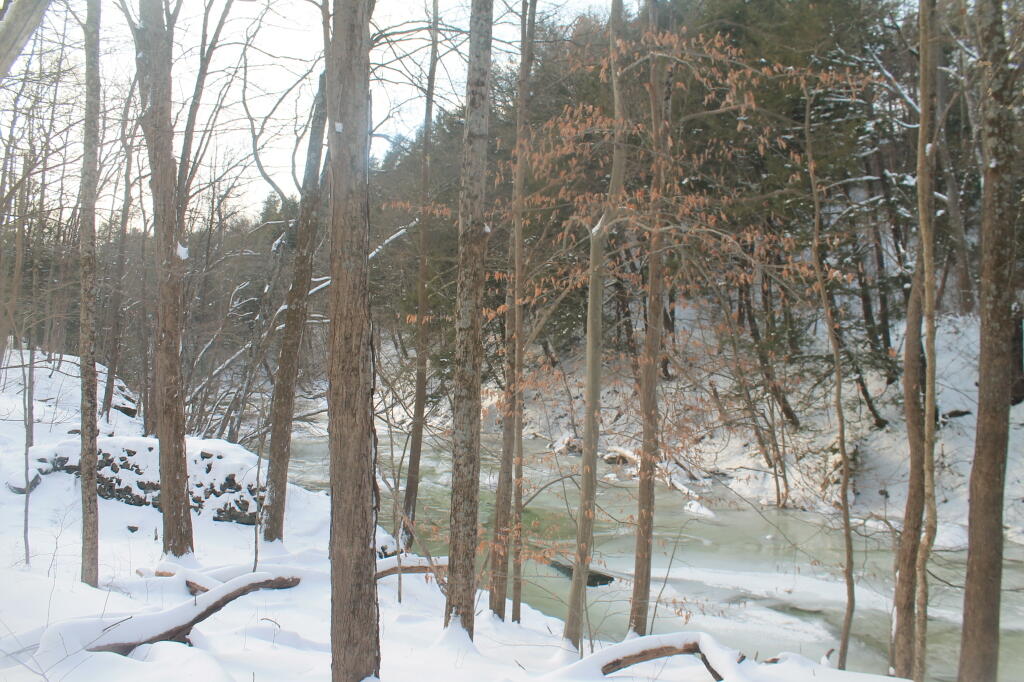 Photo: Wintery Creek Photo: Wintery Creek