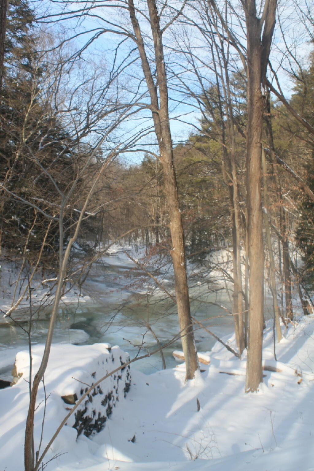 Photo: Creek