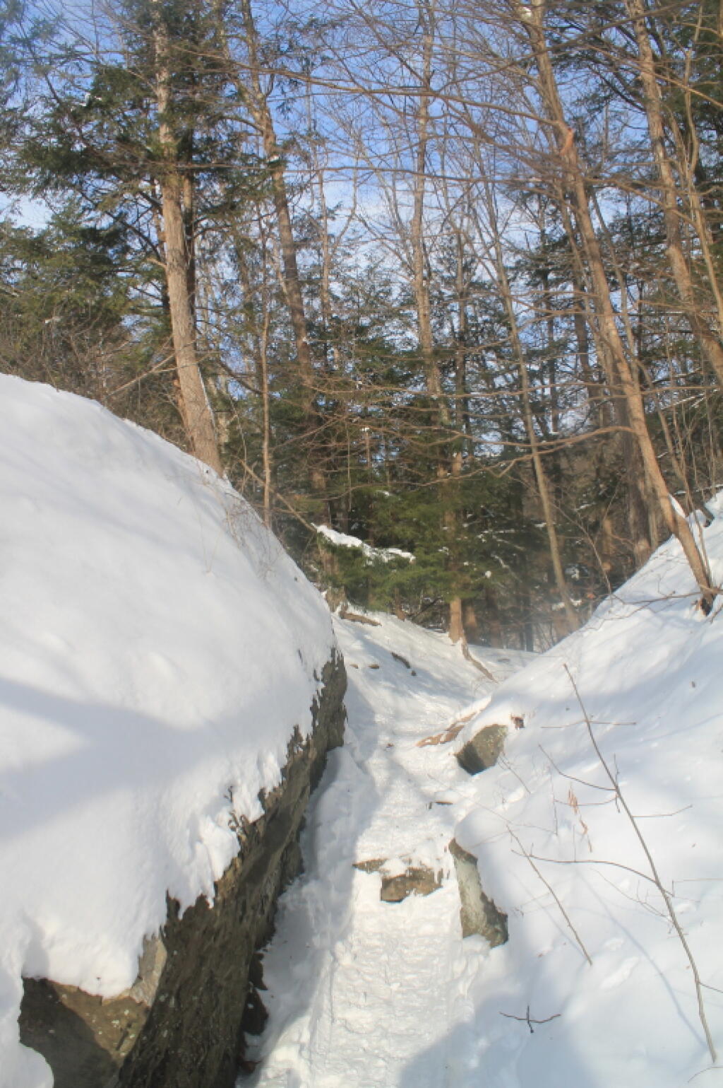 Photo: Dry Flume in the Rocks Photo: Dry Flume in the Rocks
