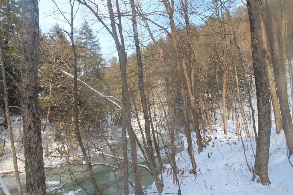 Photo: Creek Winds