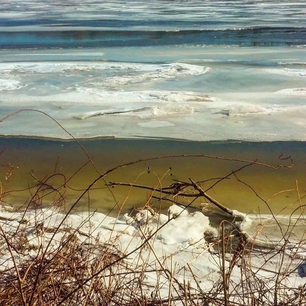 Photo: Muddy Photo: Muddy