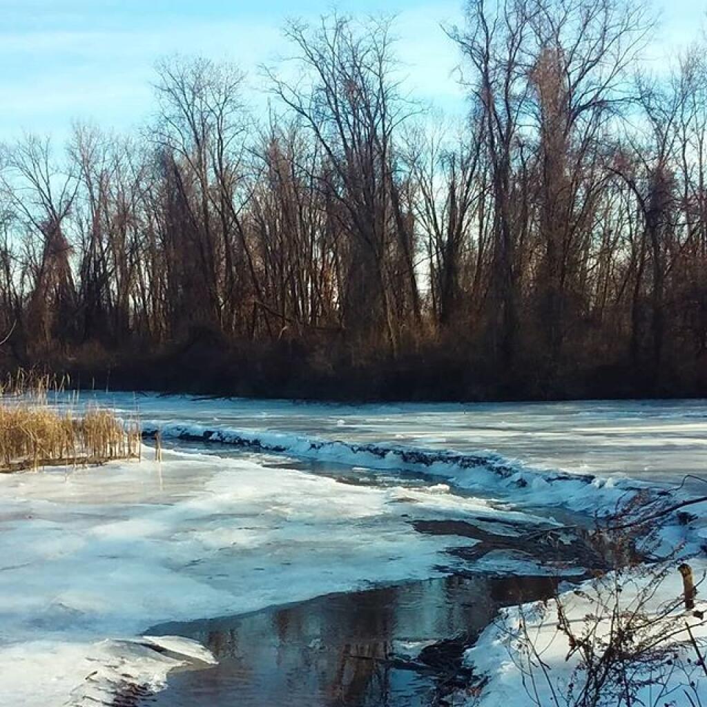 Photo: Backwater
