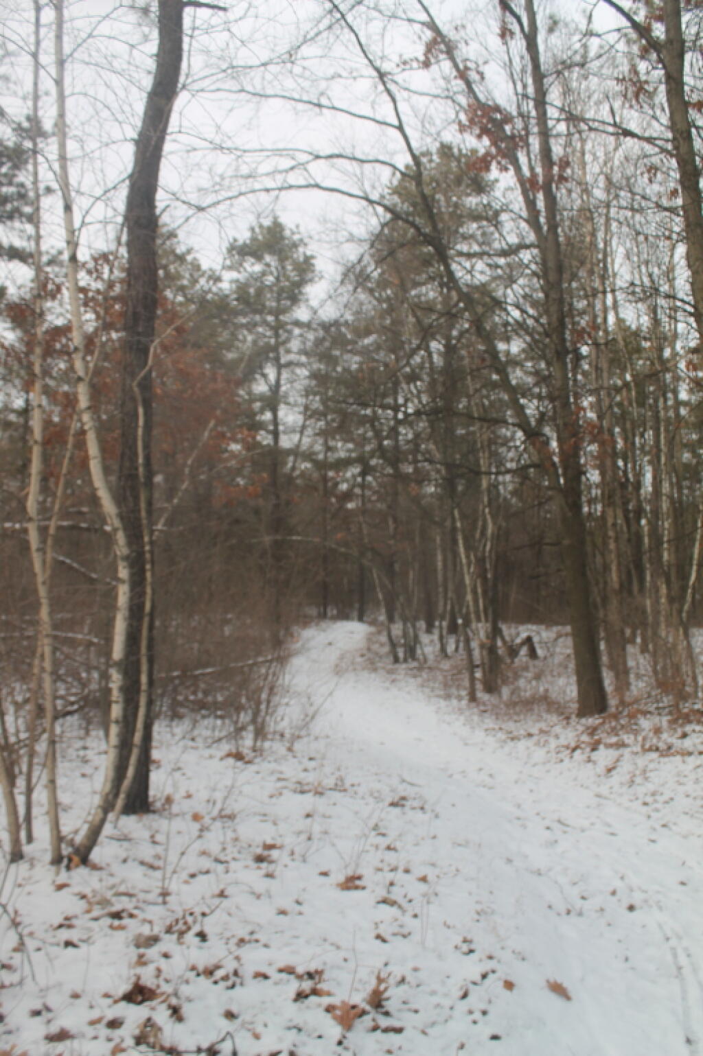 Photo: Into the Forbidden Zone