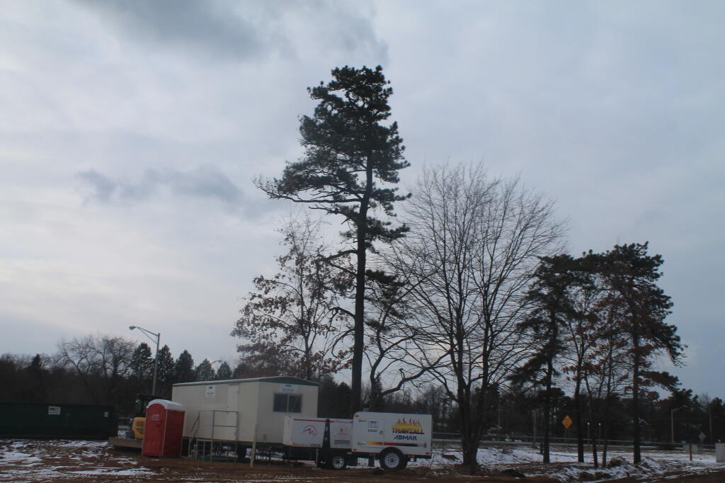 Photo: Development at Crossgates Commons Photo: Development at Crossgates Commons
