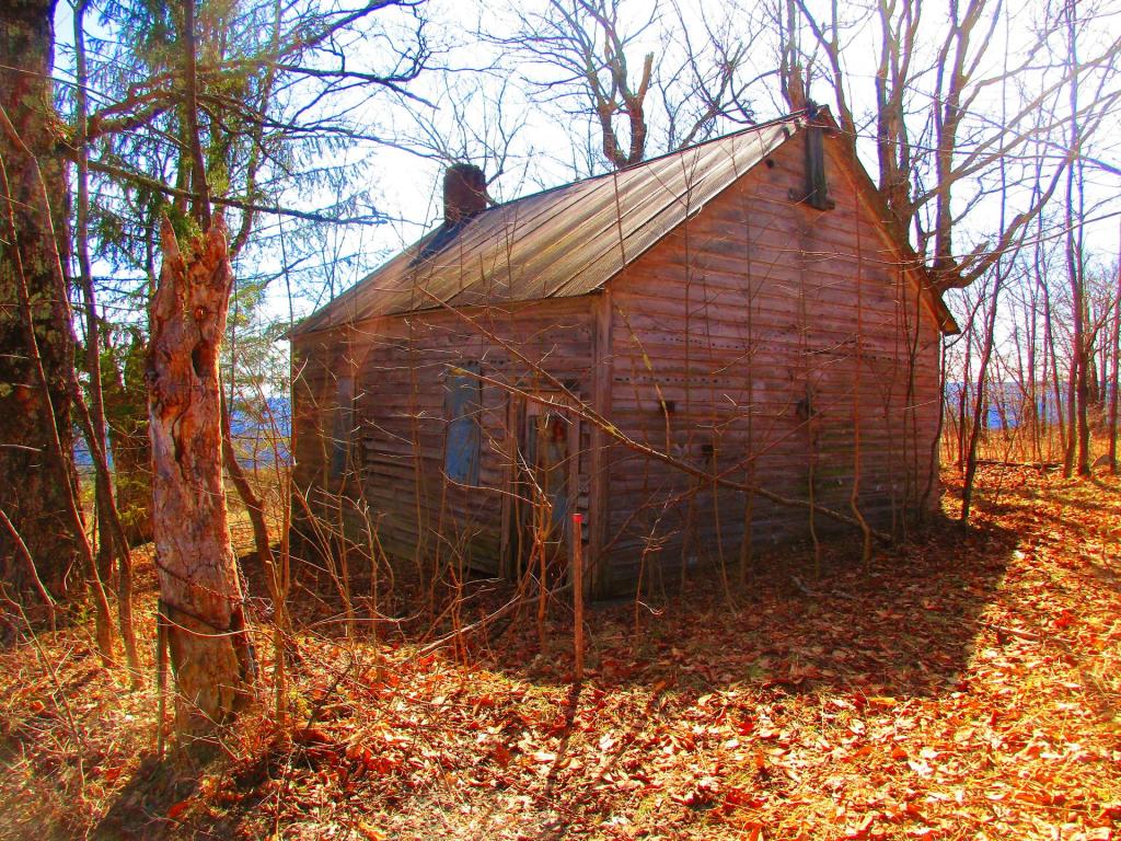 Photo: Old House