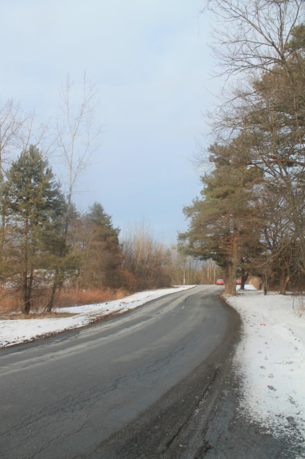 Photo: Rapp Road