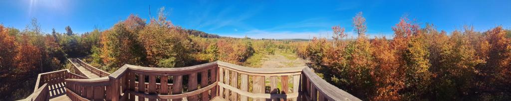 Photo: New Observation Deck - Wide Screen Photo: New Observation Deck - Wide Screen