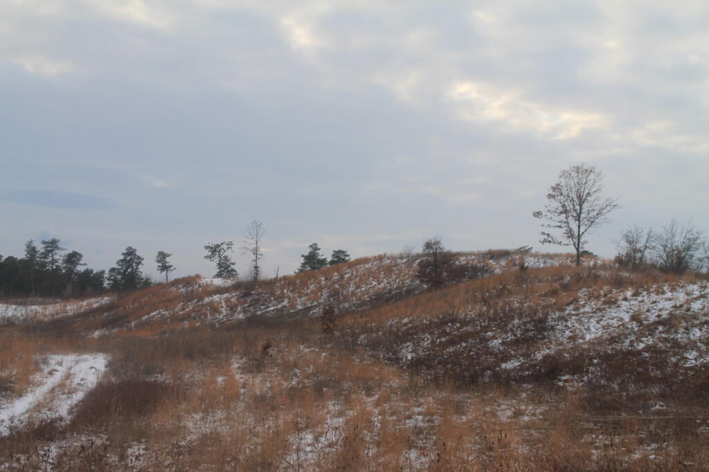 Photo: Photo.2014.01.19 18.01.04