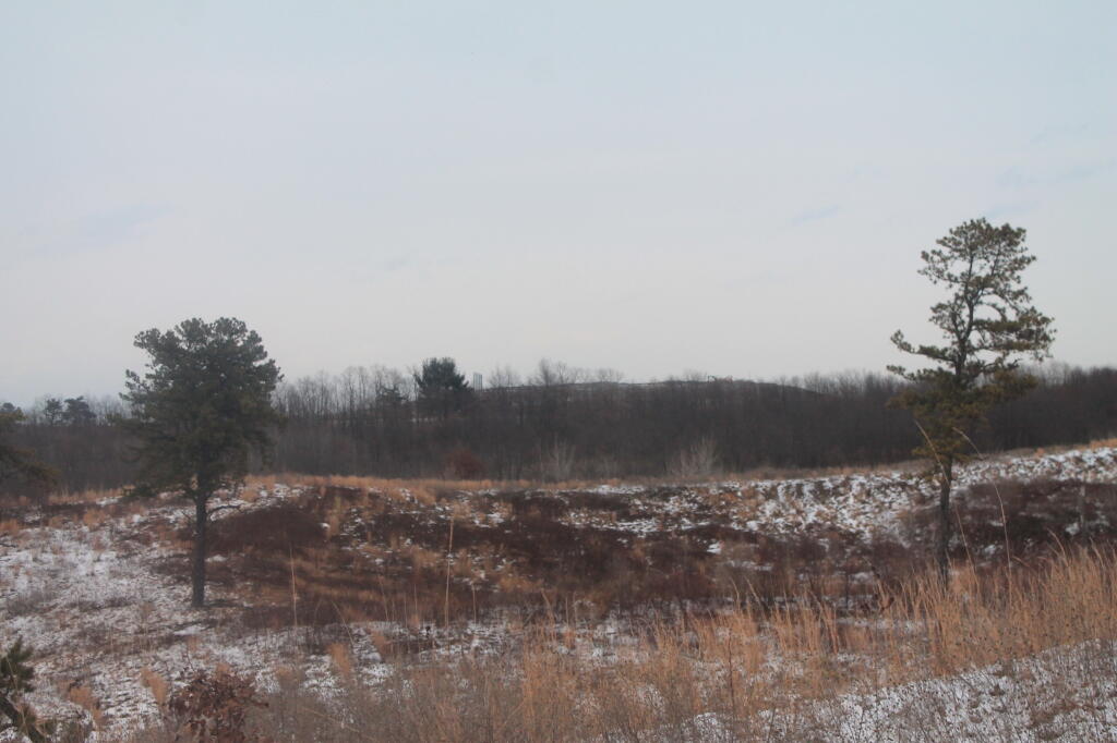 Photo: East off Blueberry Hill