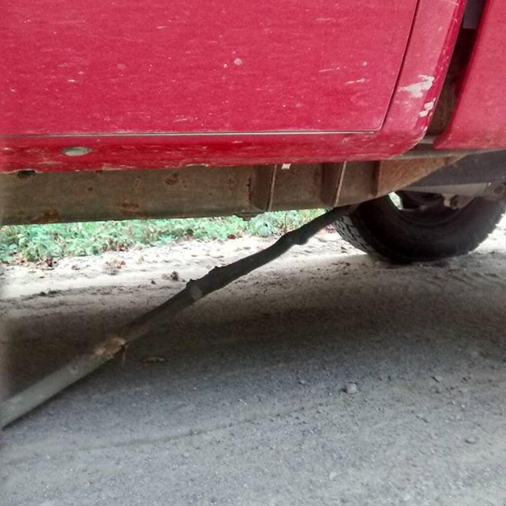 Photo: What's that noise? No damage. Photo: What's that noise? No damage.