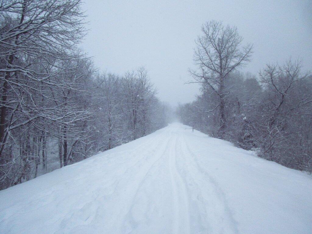Photo: Along The Rail Trail