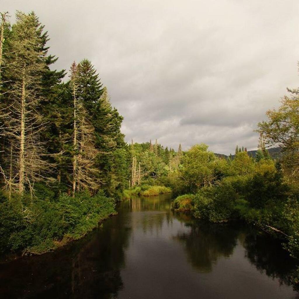 Photo: East Canada Creek