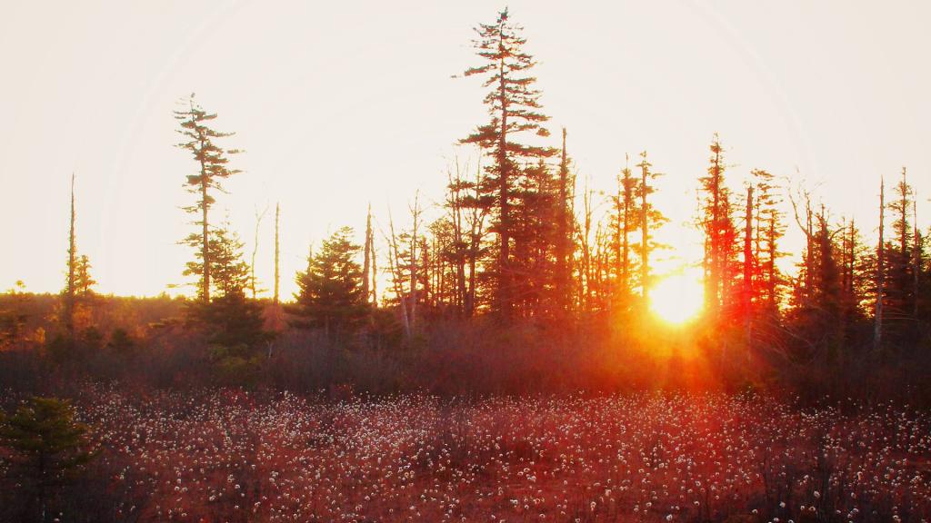 Photo: Sunrise in Canaan Heights Photo: Sunrise in Canaan Heights