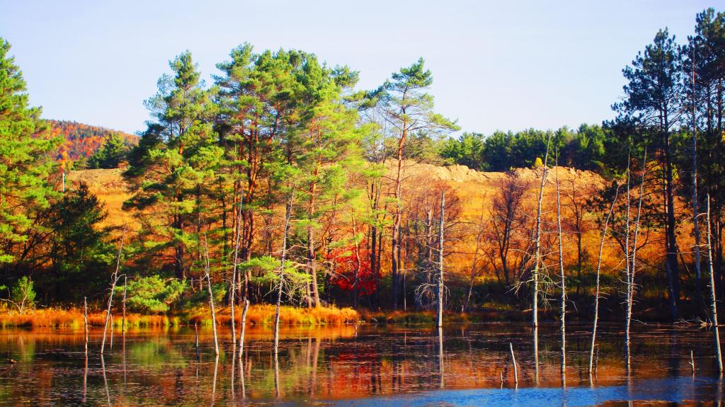 Photo: Saranac Lake Garbage Dump