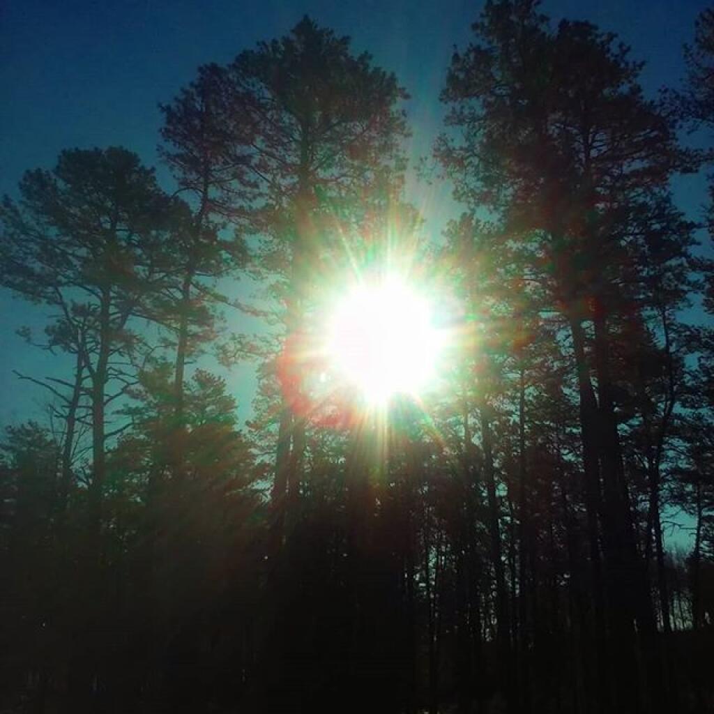 Photo: Sunny and cold Photo: Sunny and cold
