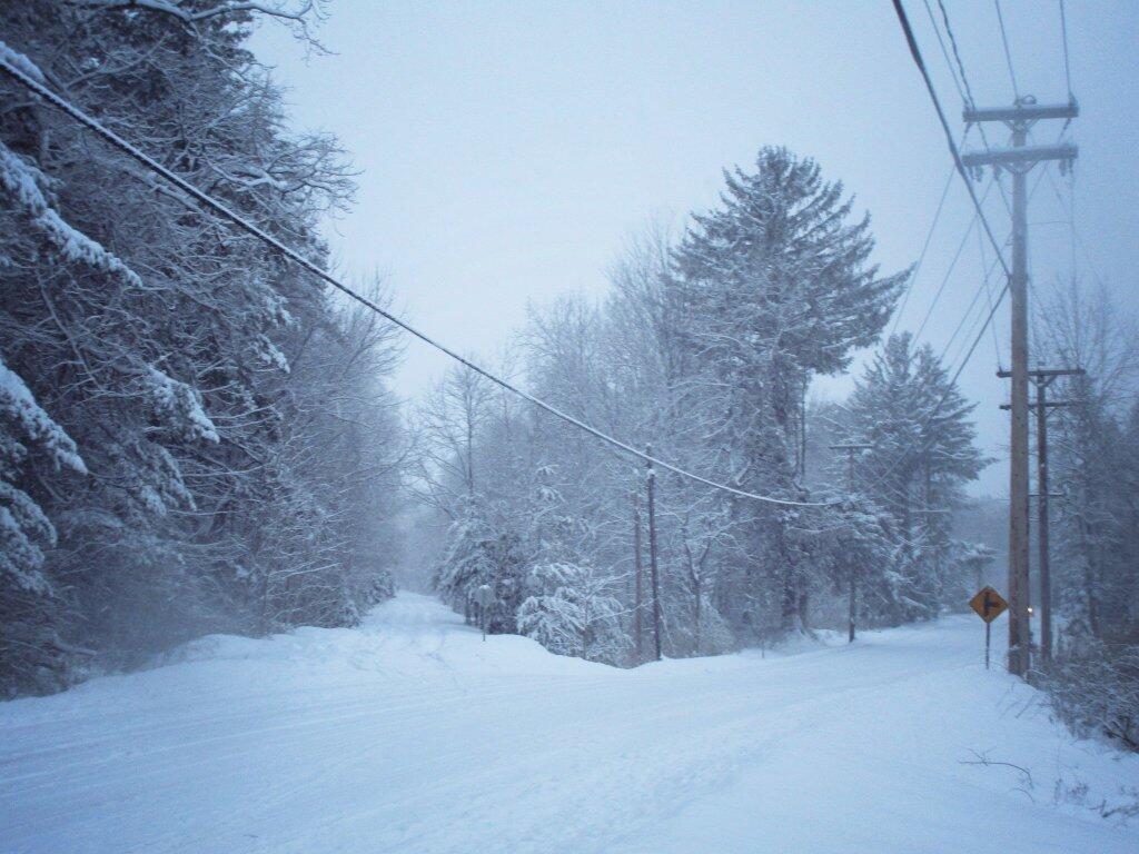 Photo: Font Grove Road