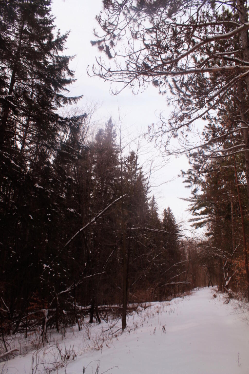 Photo: Quiet Walk
