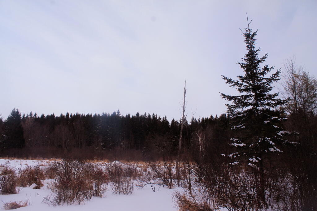 Photo: View Along the Trail Photo: View Along the Trail