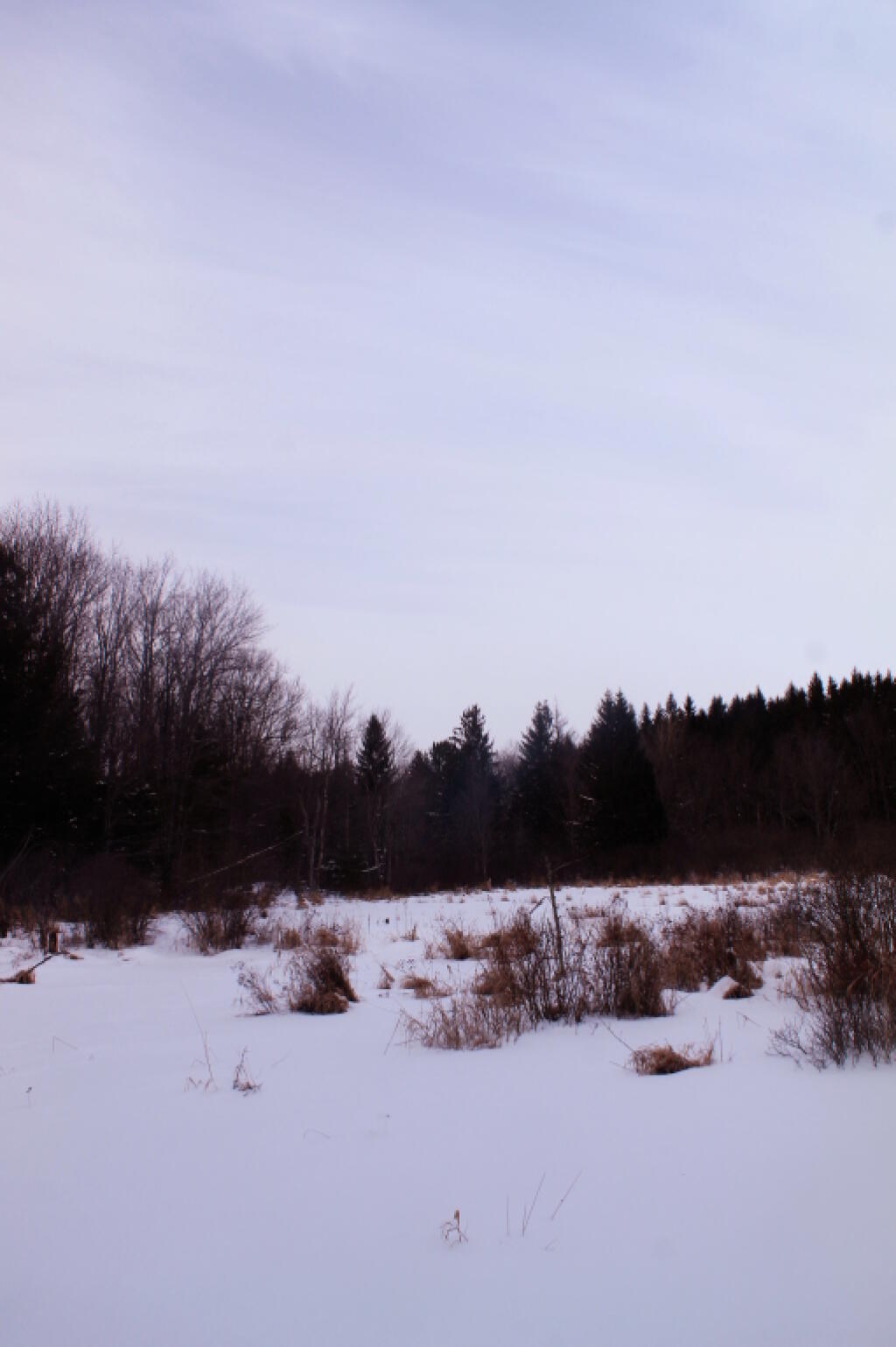 Photo: Pond Photo: Pond