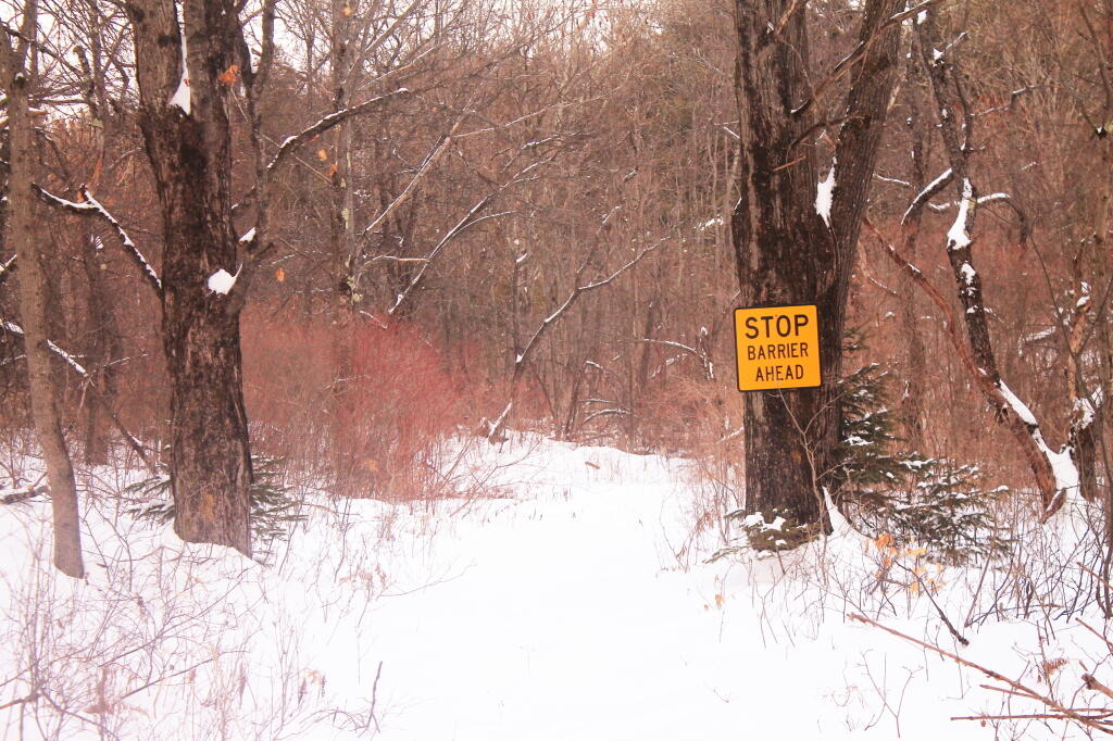 Photo: Skiing the back trails at Partridge Run Photo: Skiing the back trails at Partridge Run