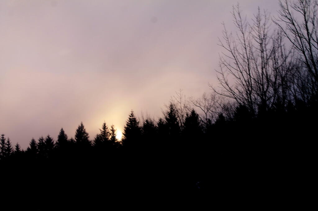 Photo: Behind the Trees Photo: Behind the Trees