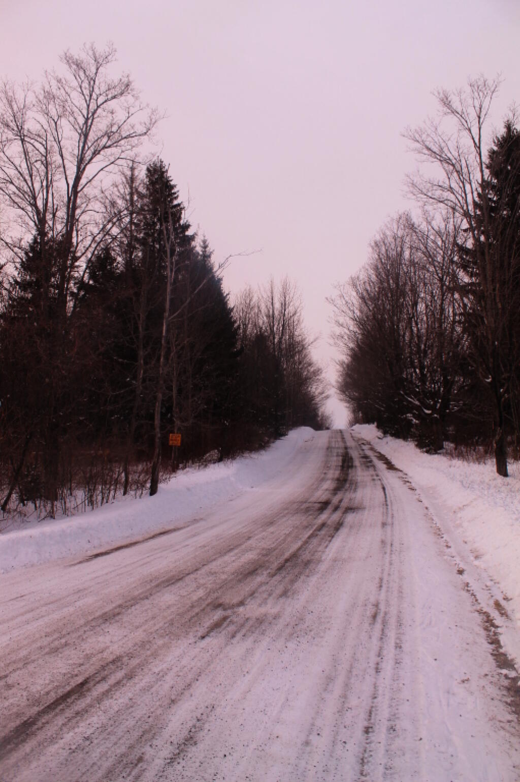 Photo: Along Bradt Hollow Road Photo: Along Bradt Hollow Road