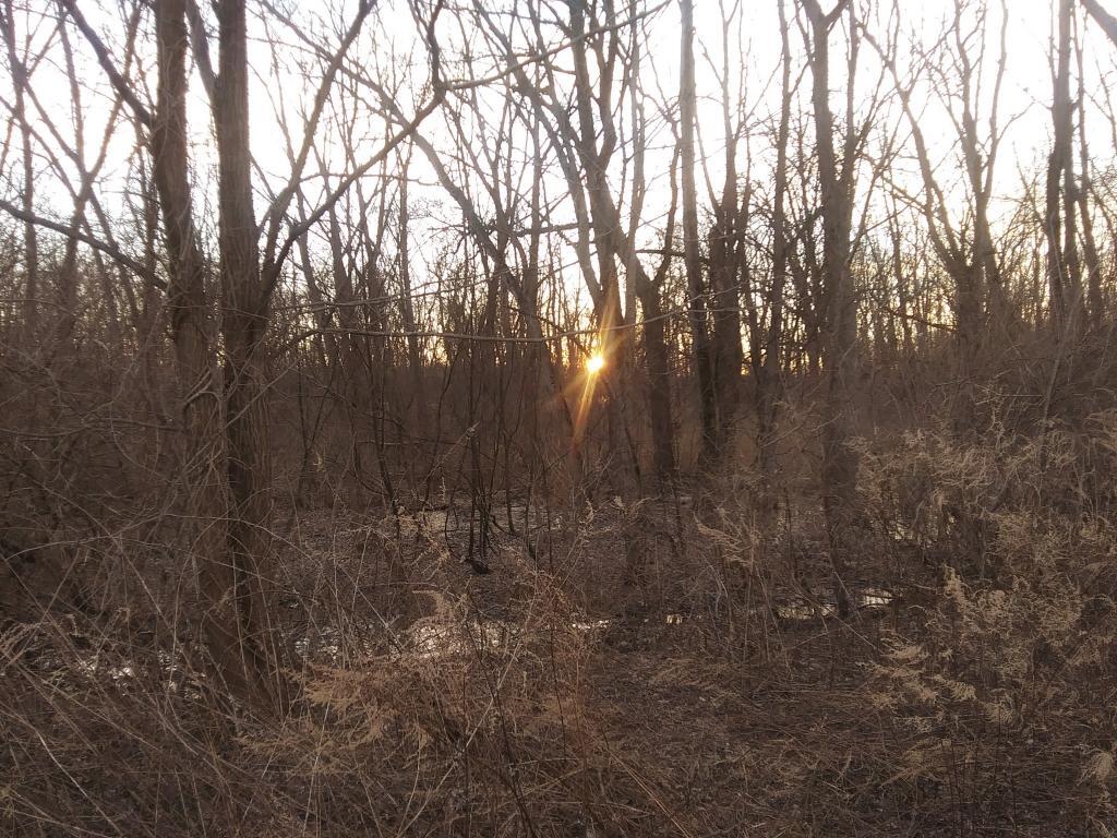Photo: Setting Sun Photo: Setting Sun