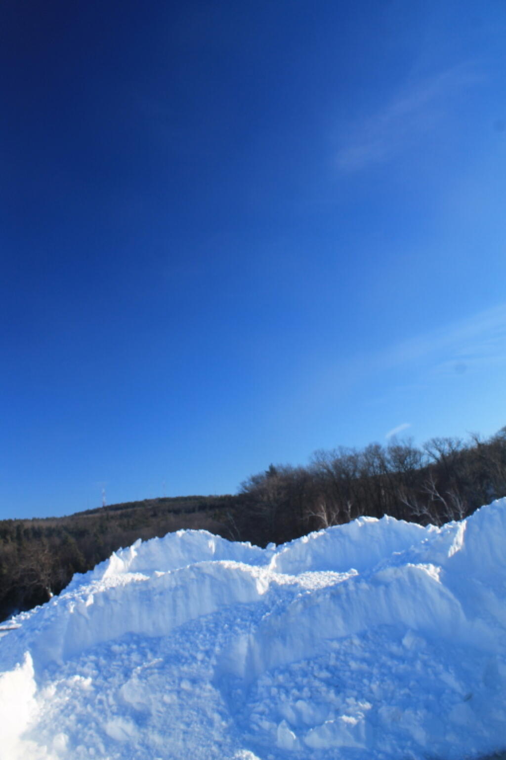 Photo: Winter Banks Photo: Winter Banks