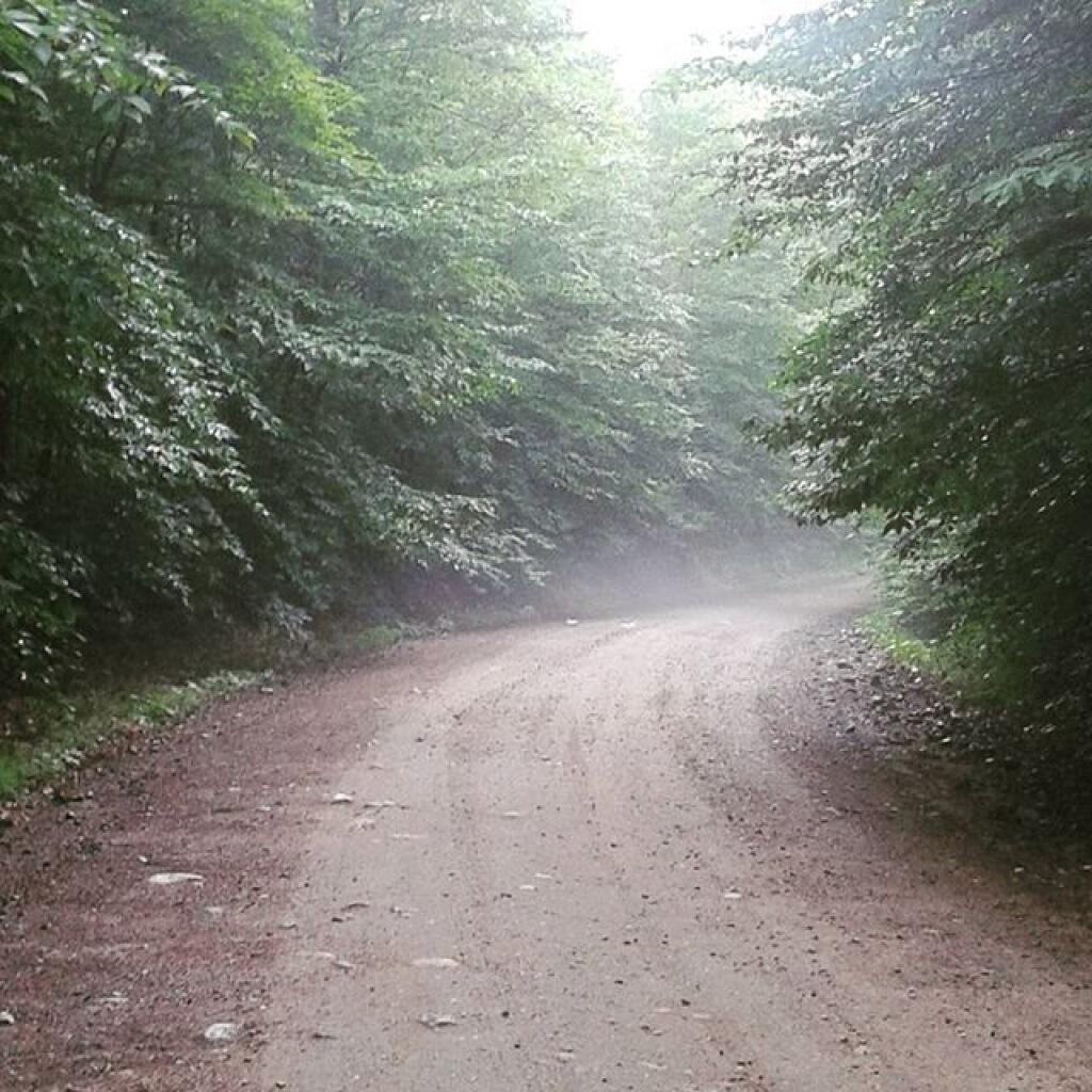 Photo: Piseco - Powley Road in the fog