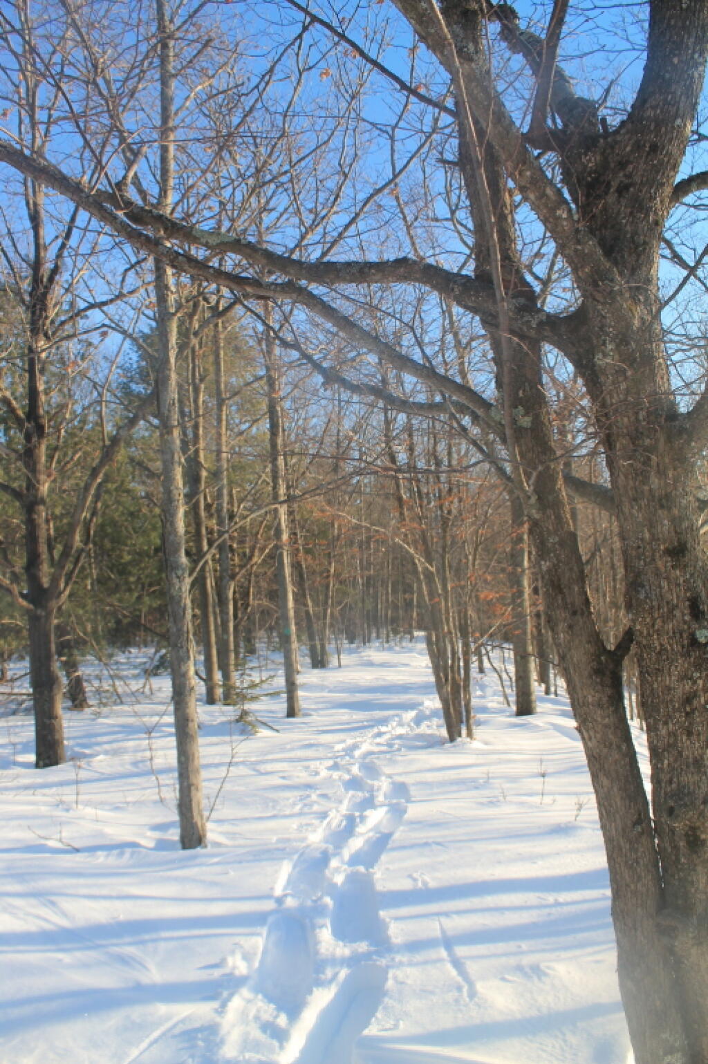 Photo: First Pass Thru