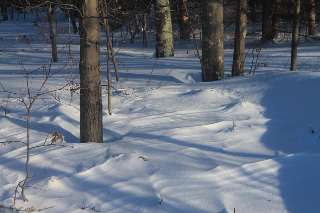 Photo: More Snowbanks