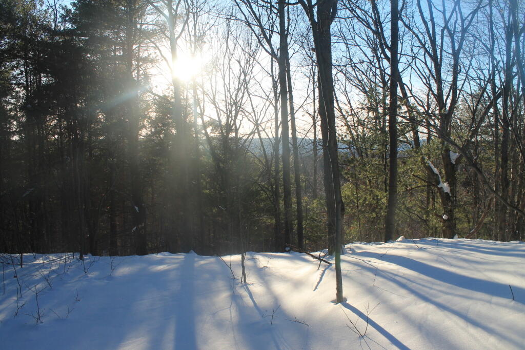 Photo: Bright Sun
