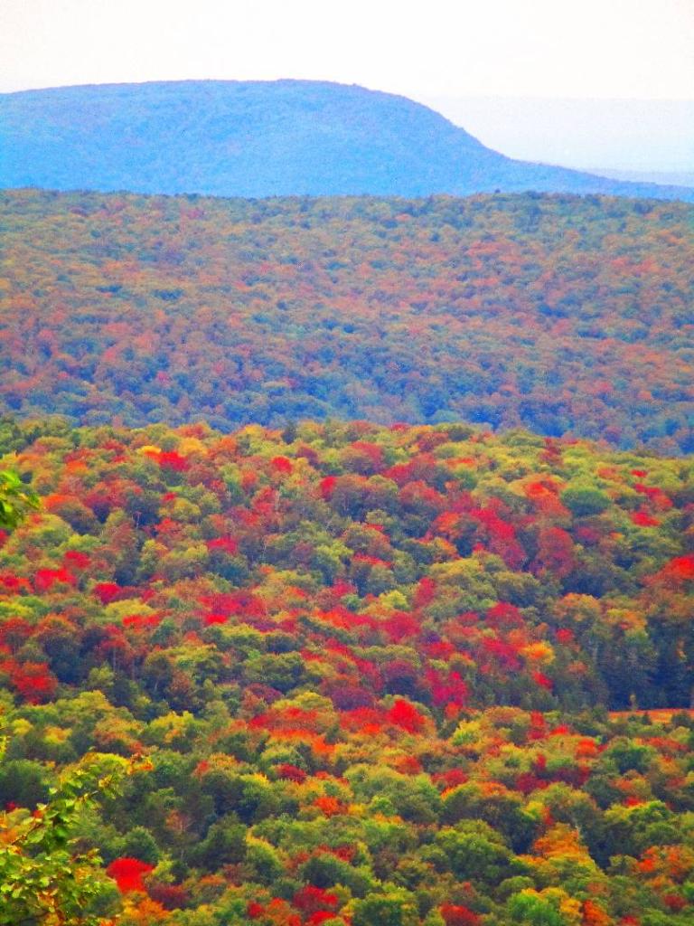 Photo: Harmon Hill from Prospect Mountain Photo: Harmon Hill from Prospect Mountain