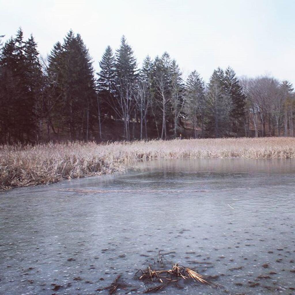 Photo: Still some ice left