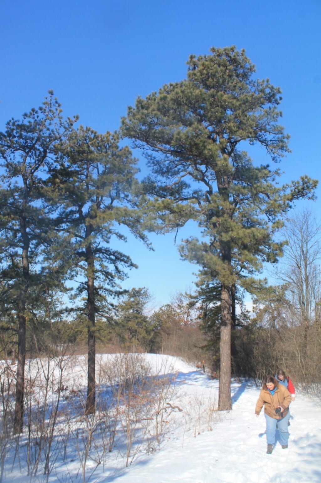 Photo: Lynne and Grace Tromping through the Snow