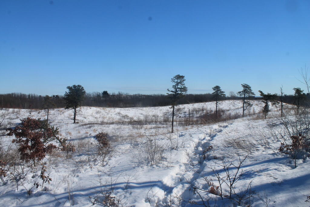Photo: Across Blueberry Hill Photo: Across Blueberry Hill
