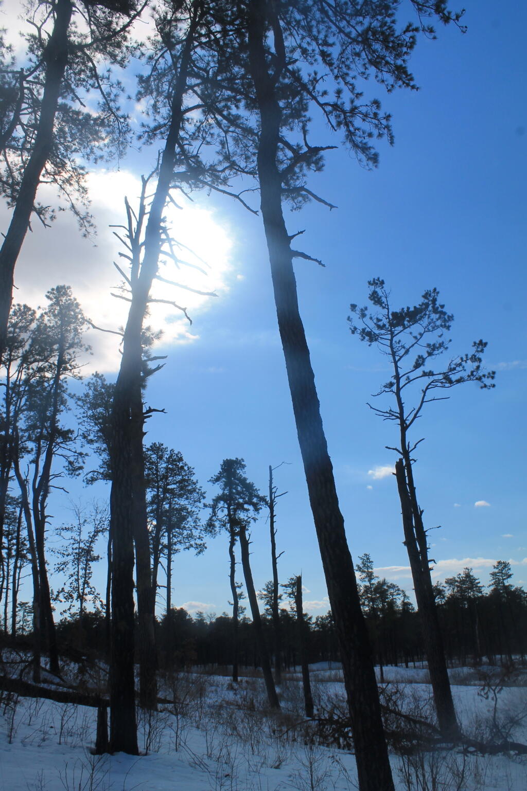 Photo: Sun Peaking Out