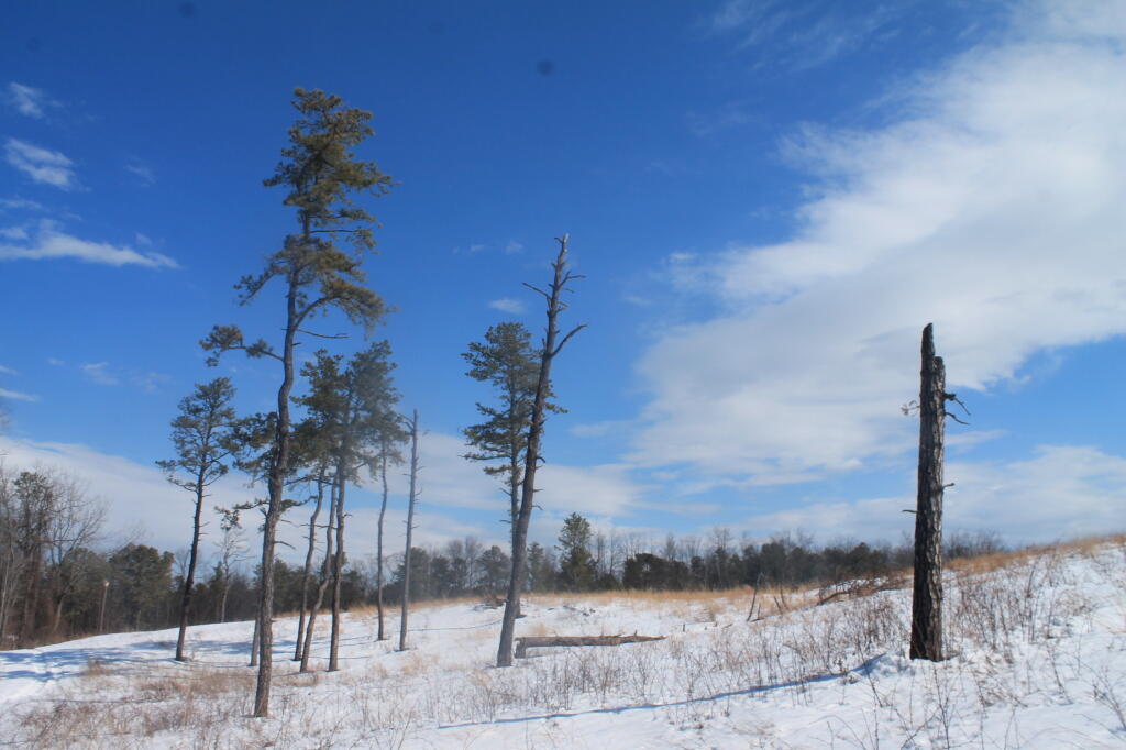Photo: Bright and Sunny Morning
