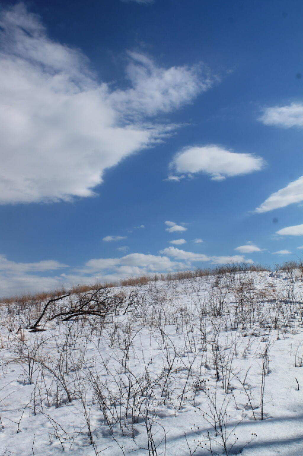 Photo: Looking Up the Hill