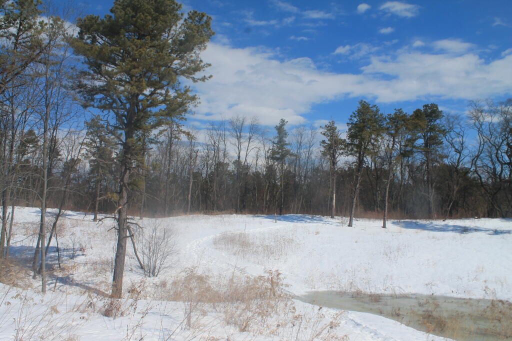 Photo: Small Wetland Photo: Small Wetland
