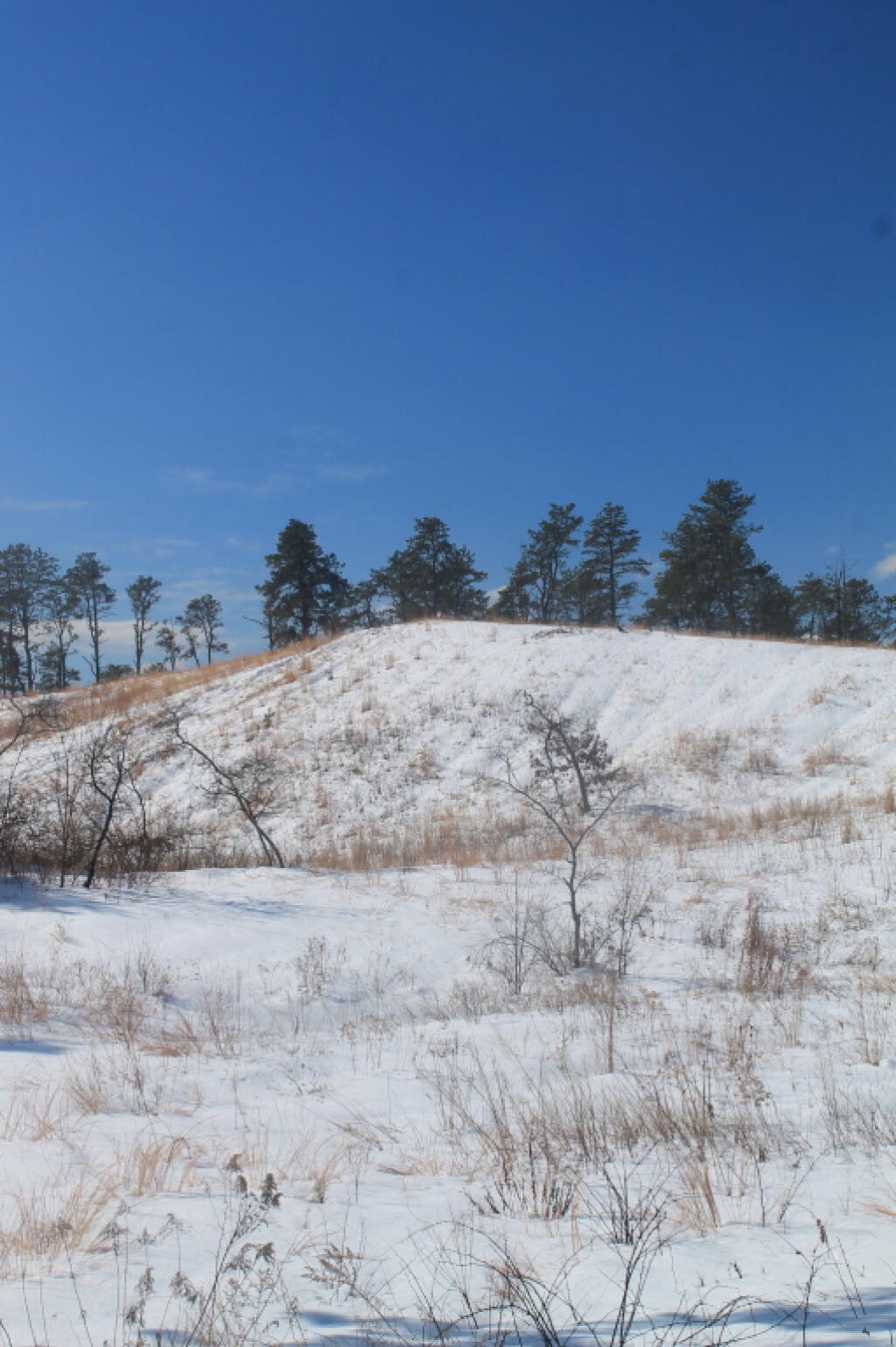 Photo: Another Sand Dune