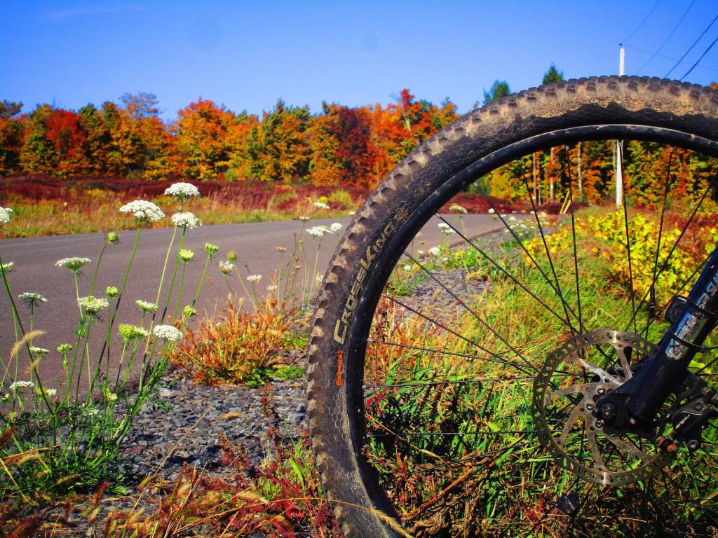 Photo: Wheel