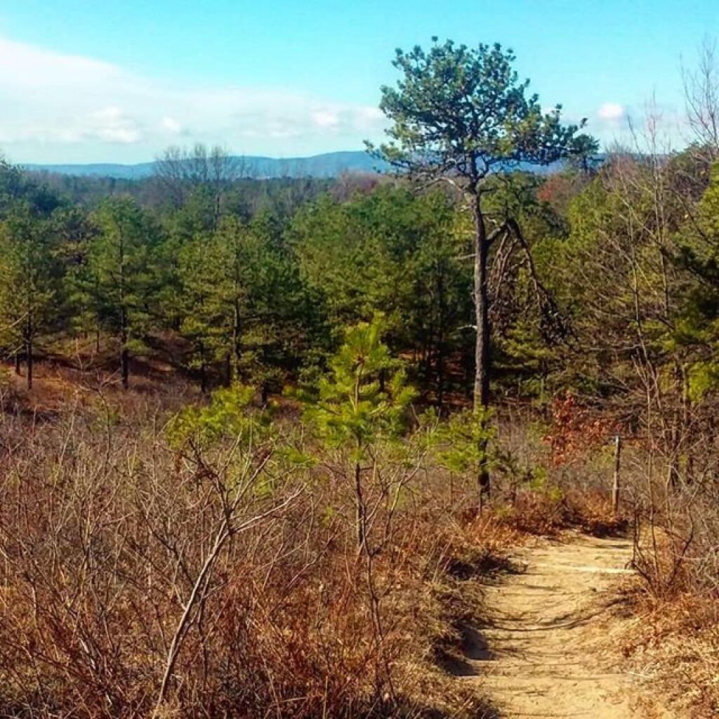 Photo: Stunning day