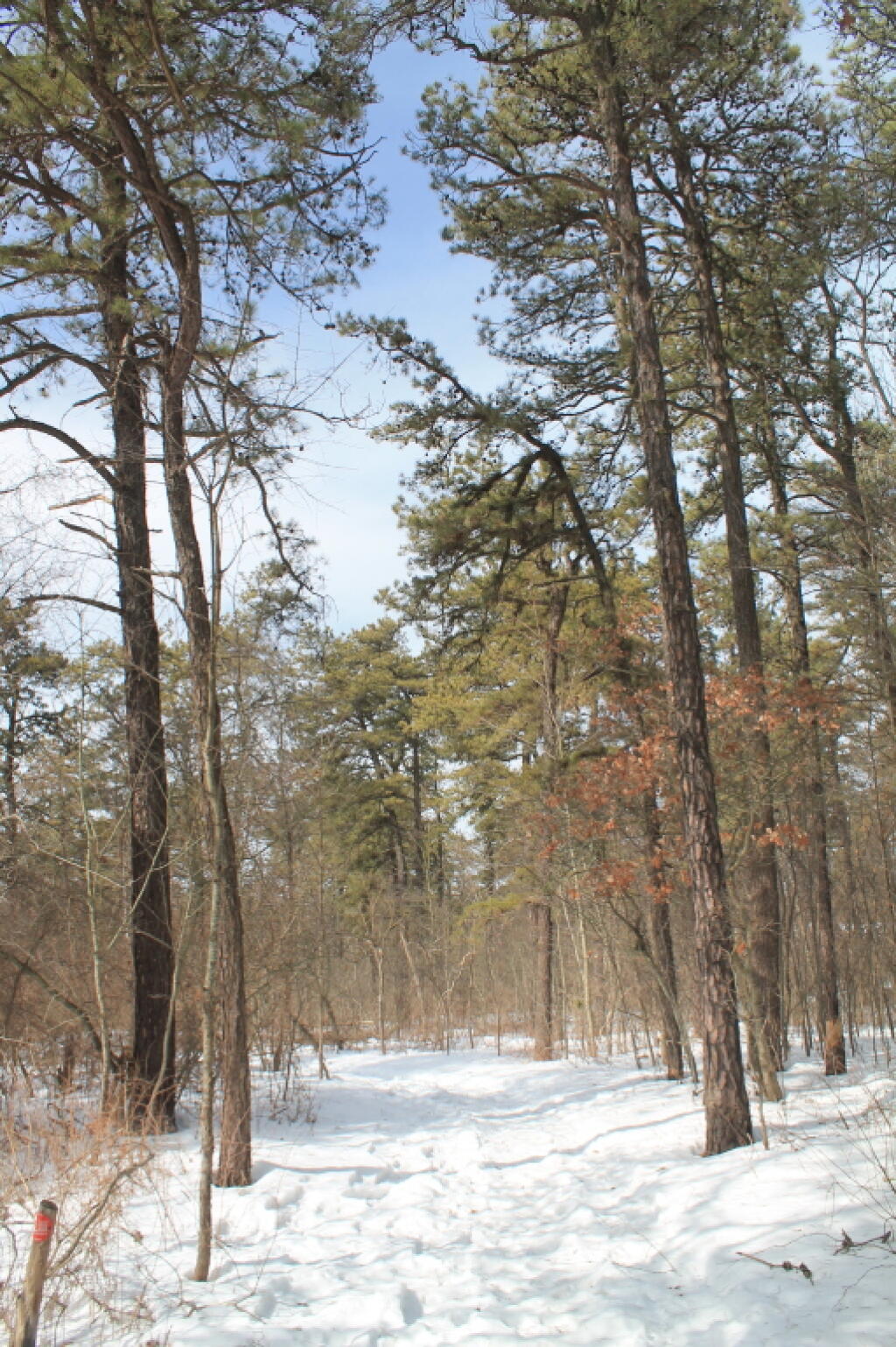 Photo: Other Side of New Karner Road