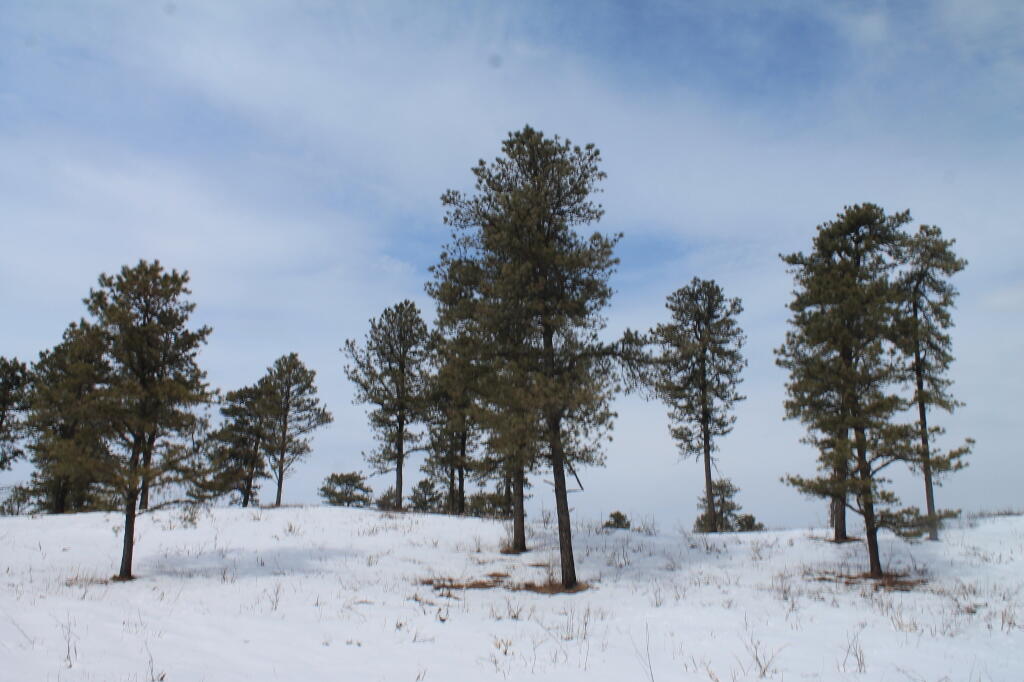 Photo: West Barriens