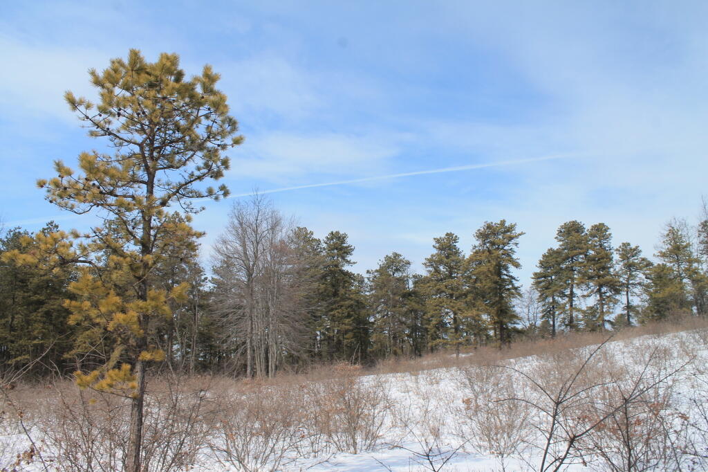 Photo: Open Area