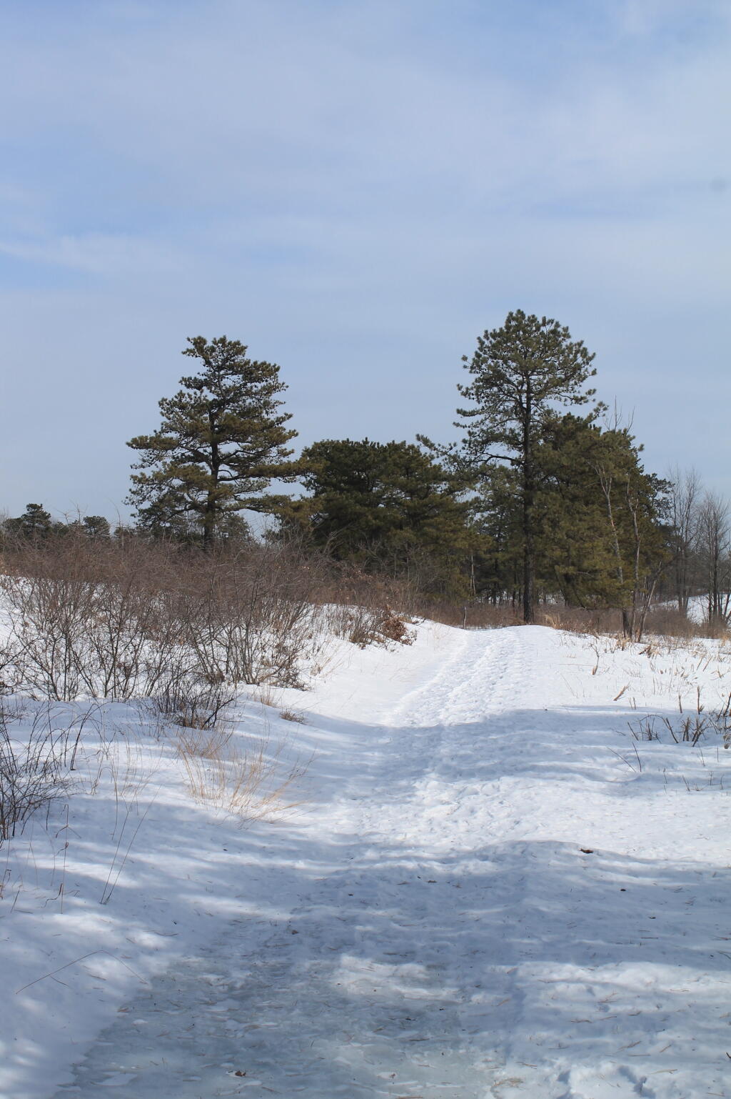 Photo: Truck Trail Photo: Truck Trail
