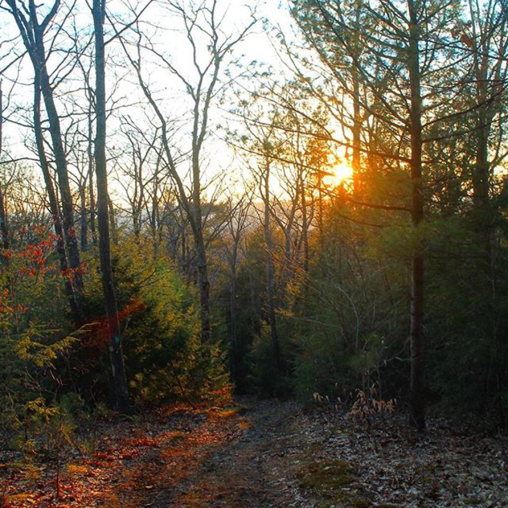 Photo: Setting sun