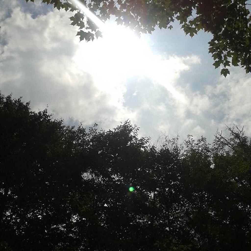 Photo: Sunlight after a dreary Saturday morning